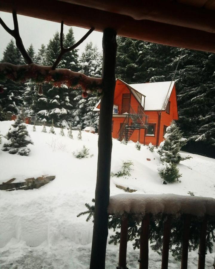 Sadyba Drymba Skhidnytsia Dış mekan fotoğraf