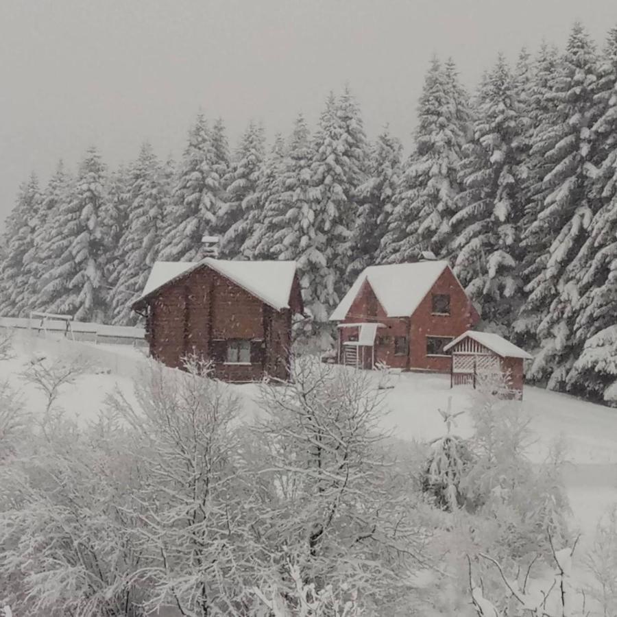 Sadyba Drymba Skhidnytsia Dış mekan fotoğraf