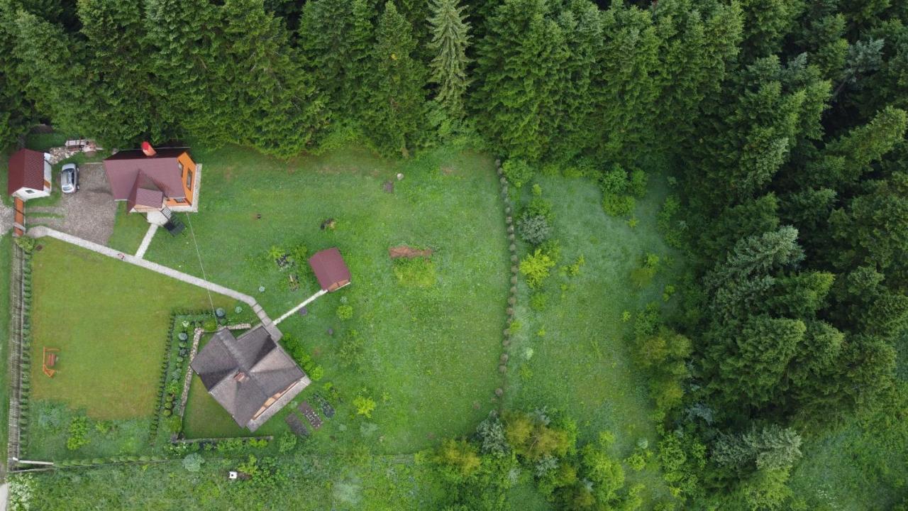 Sadyba Drymba Skhidnytsia Dış mekan fotoğraf