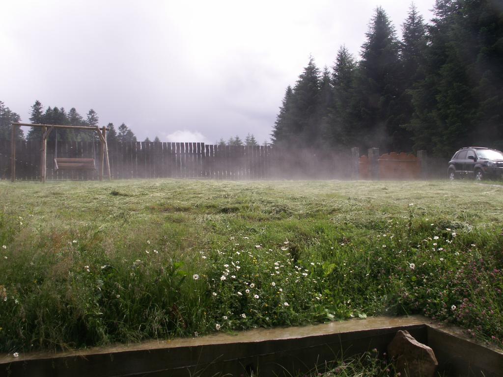 Sadyba Drymba Skhidnytsia Dış mekan fotoğraf