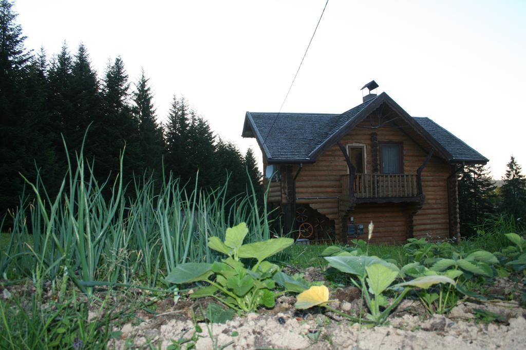 Sadyba Drymba Skhidnytsia Dış mekan fotoğraf