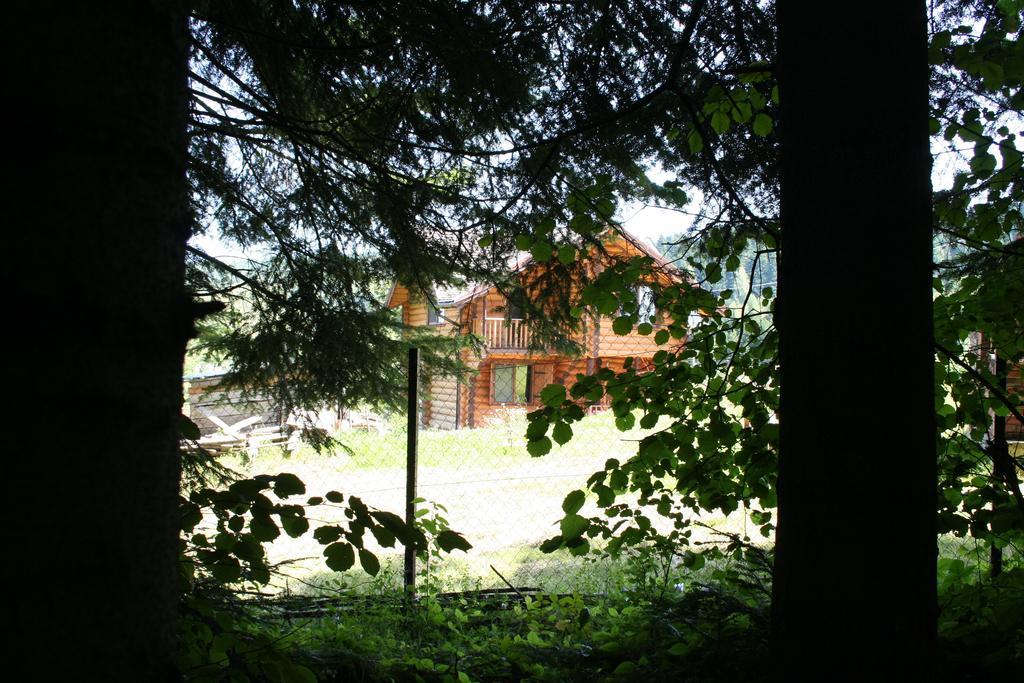 Sadyba Drymba Skhidnytsia Dış mekan fotoğraf