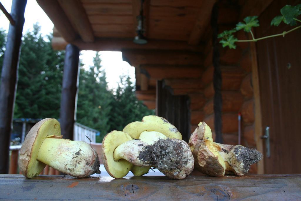 Sadyba Drymba Skhidnytsia Dış mekan fotoğraf